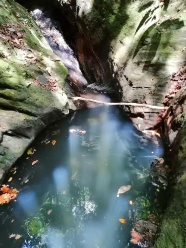 Las Cascadas De Andromeda Glamping