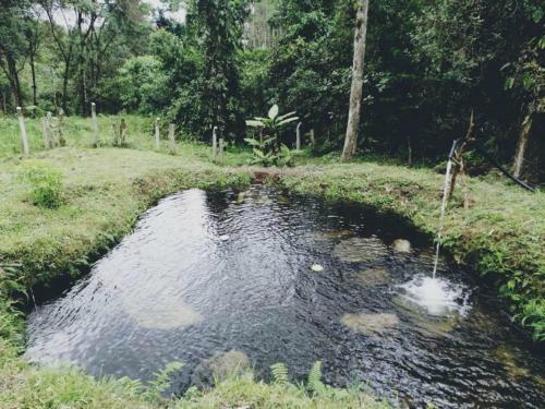 Caba�a Termales Santa Rosa