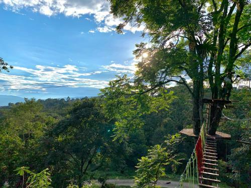Refugio Del Bosque Glamping