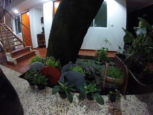Treehouse 1959 Hotel