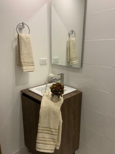 Apartamento Apto Zona Colonial Lind�simo 201