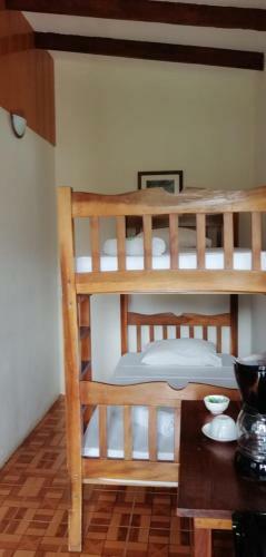 Kingfisher Lodge & Tours
