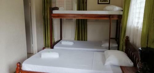 Kingfisher Lodge & Tours