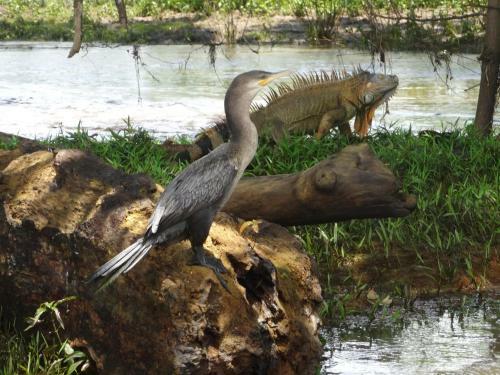 Kingfisher Lodge & Tours