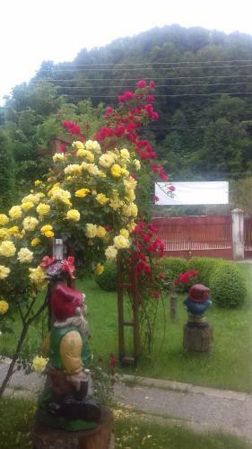 Hostal Pensiunea Doru