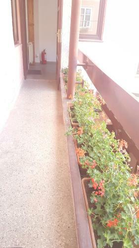 Hostal Pensiunea Podul Minciunilor