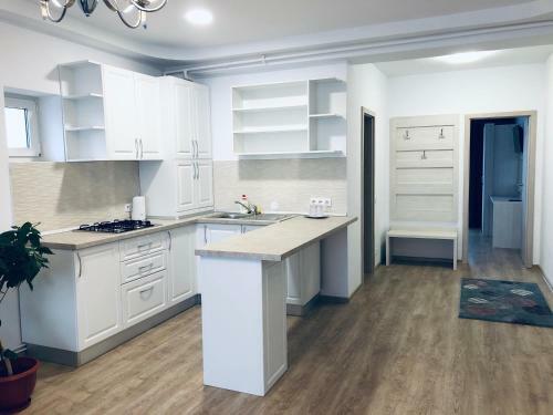 Apartamento Pensiunea Amso