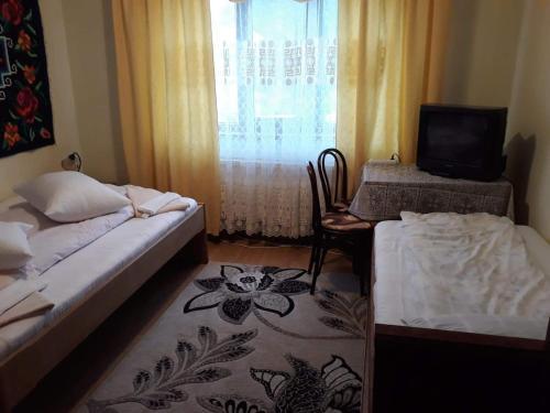 Hostal Pensiunea Denisa