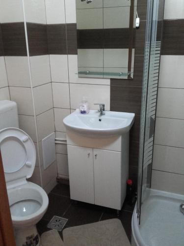 Hostal Pensiunea Denisa