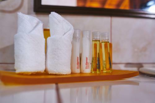 Hotel Arenal Roca Lodge