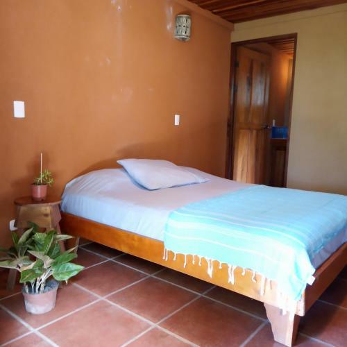 Bed & Breakfast Casa Pi�a