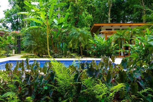 Bed & Breakfast La Paz Del Caribe