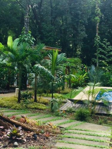 Bed & Breakfast La Paz Del Caribe