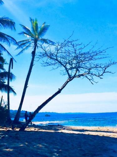 Bed & Breakfast La Paz Del Caribe
