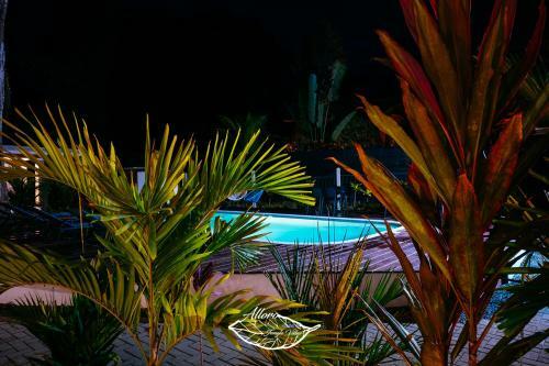 Apartamento Alloro Jungle Villas