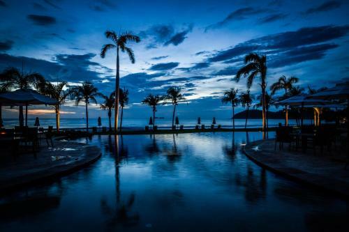 Palms 19