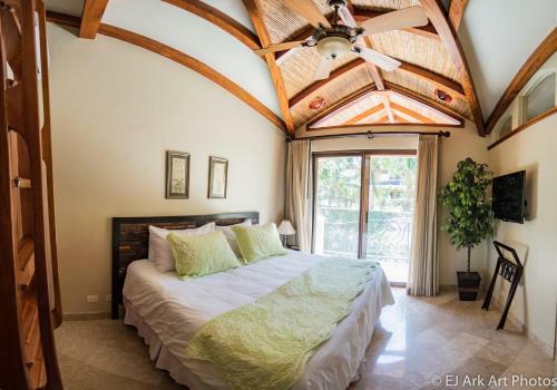 Palms 12