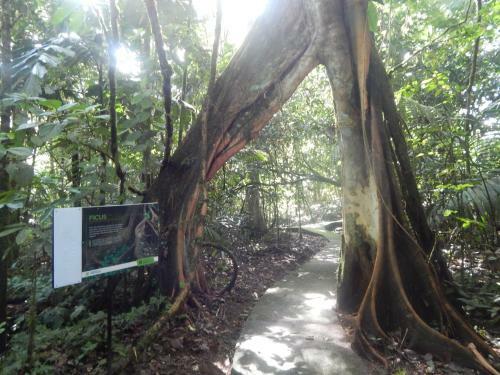 Hotel La Selva Biological Station