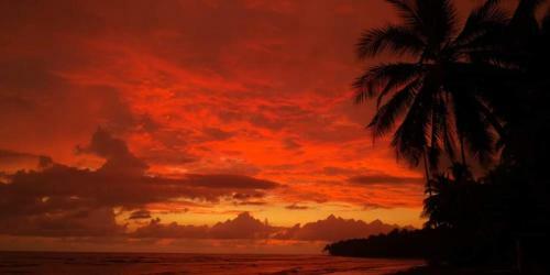 Hotel Ballena Paradise