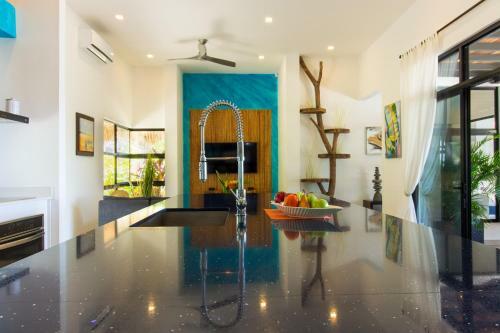 Villa C O C O O N Tamarindo
