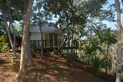 Hotel Mikado Natural Lodge