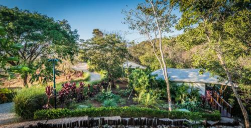 Hotel Mikado Natural Lodge
