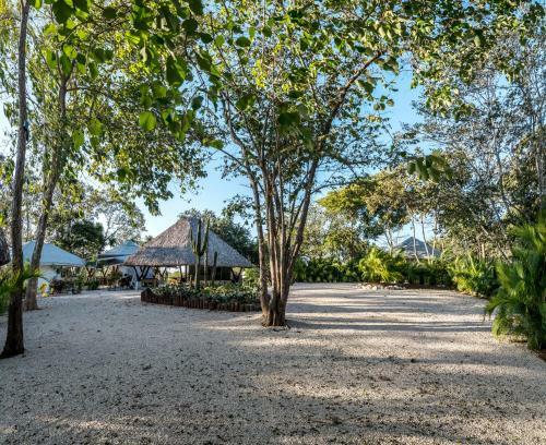 Hotel Mikado Natural Lodge