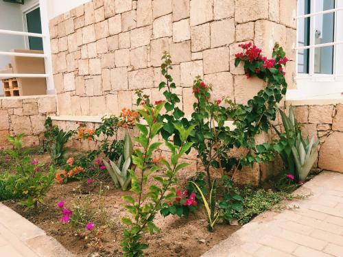 Apartamento Terra Kriola