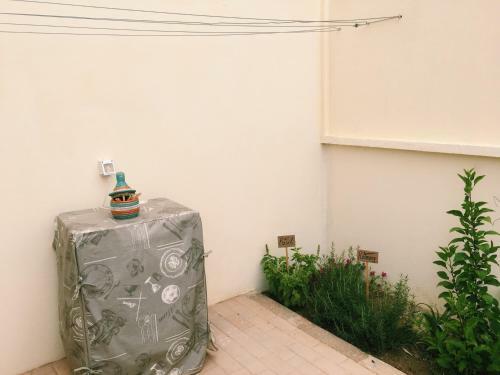 Apartamento Terra Kriola