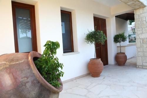 Kouklia Villa Sleeps 4 With Pool Air Con And Wifi