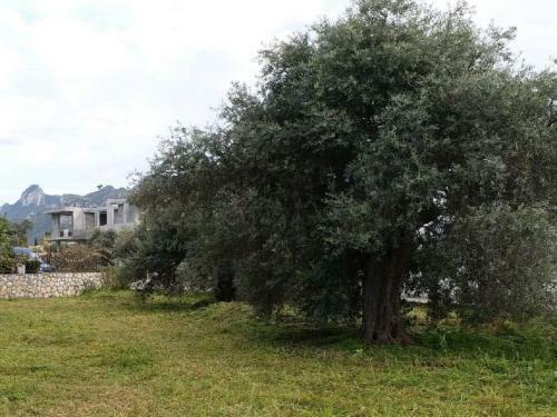 Villa Suluca Homes