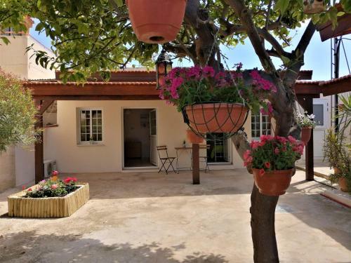 Lemon Tree Courtyard