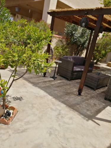 Lemon Tree Courtyard