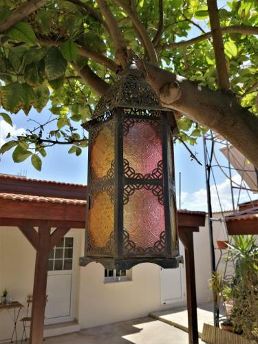 Lemon Tree Courtyard