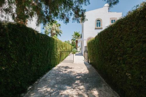 Cleopatra 3 Bedroom Villa