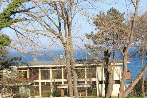 Steaua De Mare Luxury Apartments