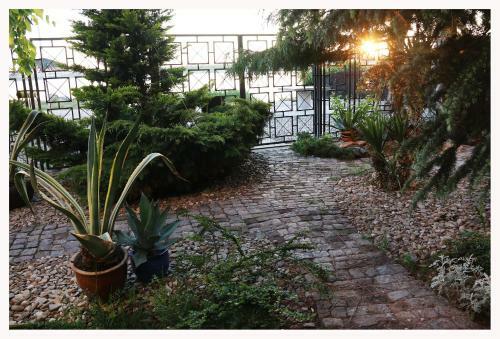 Bed & Breakfast Vila Raluca