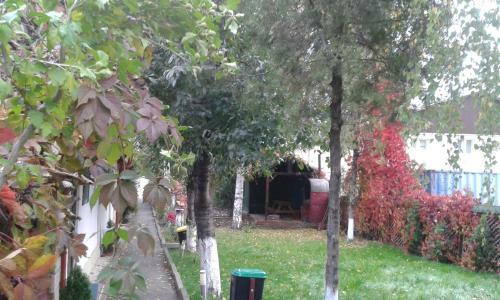 Camping Paradisul Soferilor