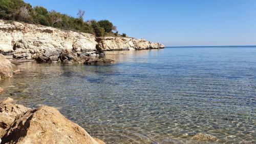 Dafni Villa 8