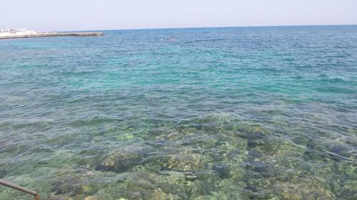 Kasgar Court Hotel