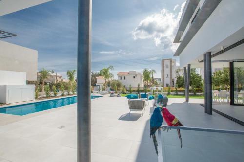Ocean 11 Villa