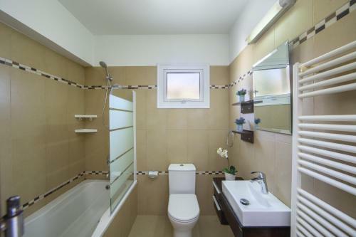 Tsokkos Luxury Villa