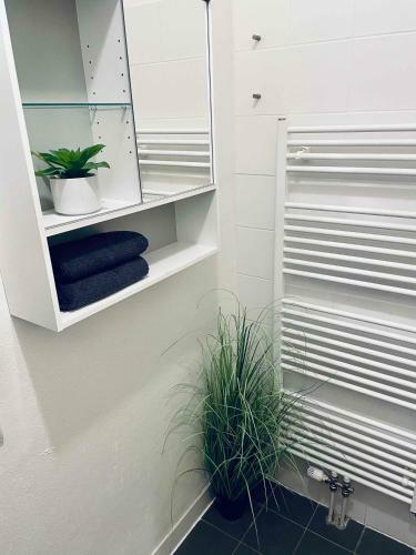 Campea Business Apartments