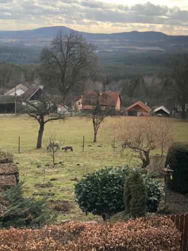 Hostal Pension S L�skou Karel Bezd?z