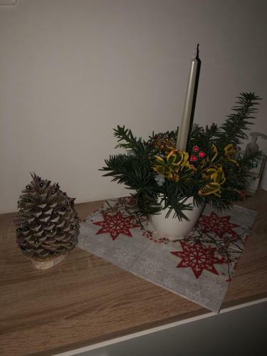 Apartm�n Jitka - Slune?n� Louka