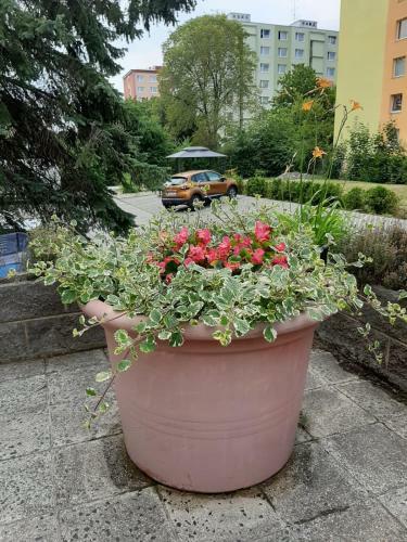 ?lut� Apartm�n V Chomutov?