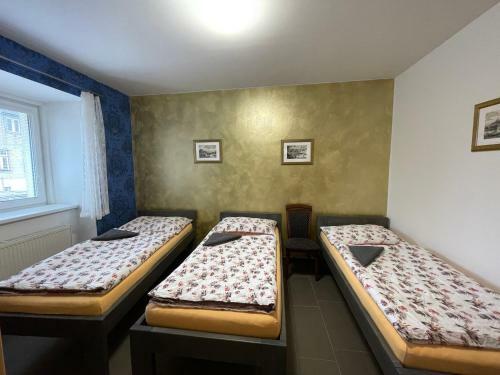 Hostal ?etnick� Stanice Hlubok�