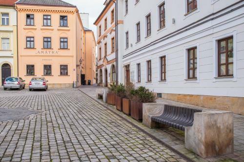 Hotel Penzion Am�tka