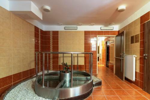 Wellness Hotel Po Ky?molem
