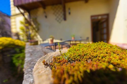 Hostal Penzion U Hr�dku